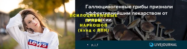 амф Арсеньев