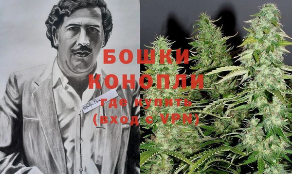амф Арсеньев