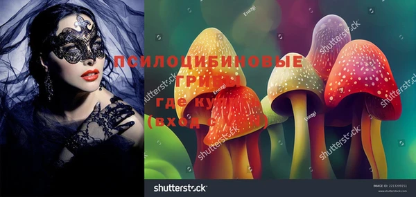 трава Ладушкин