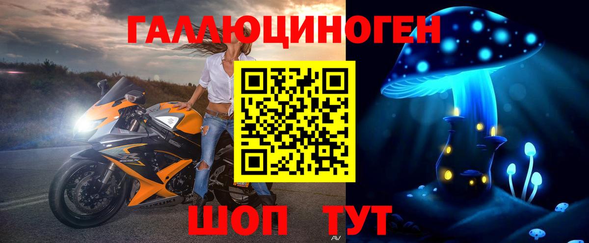 Псилоцибиновые грибы мухоморы  Галлюциногенные грибы Psilocybe  Волхов  Вход с VPN 