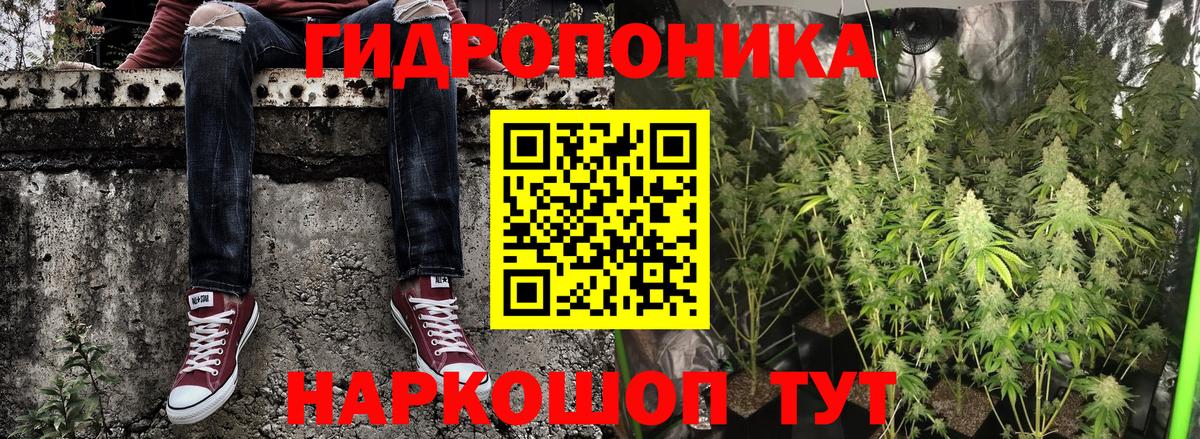 Канабис VHQ Волхов